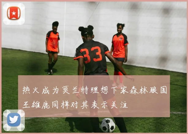 热火成为莫兰特理想下家森林狼国王雄鹿同样对其表示关注