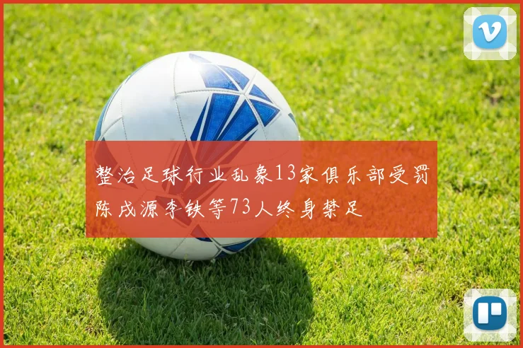 整治足球行业乱象13家俱乐部受罚陈戌源李铁等73人终身禁足
